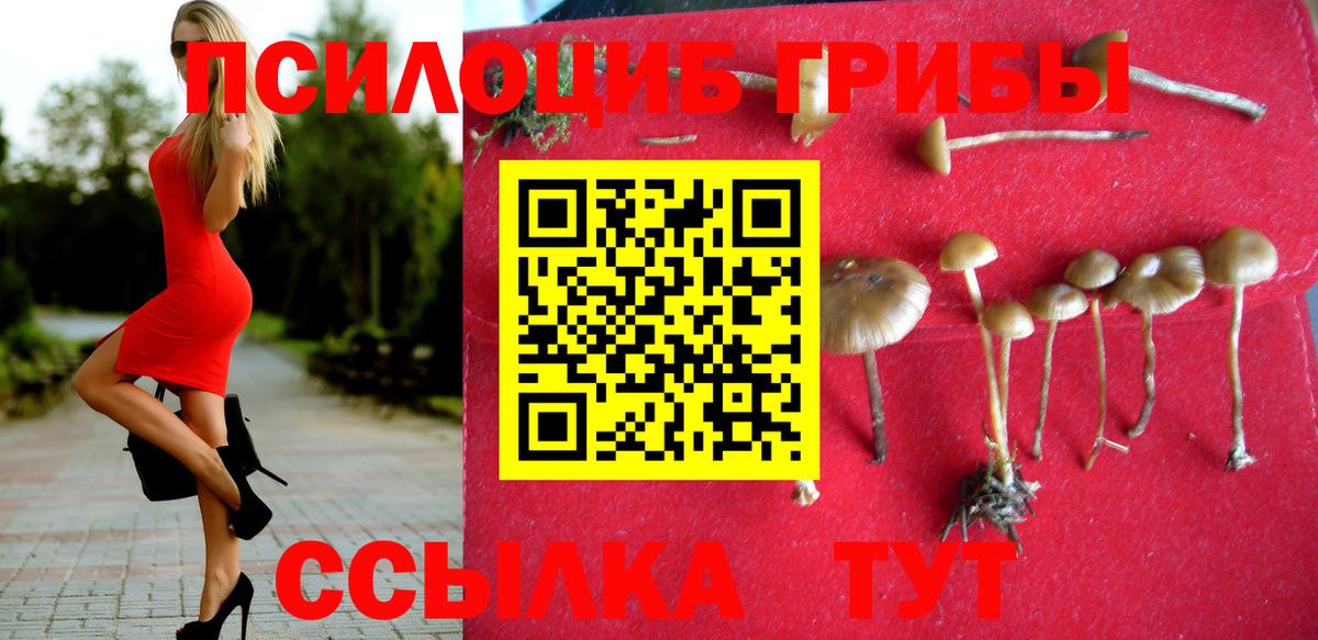 Галлюциногенные грибы мицелий  Вход с VPN  Зеленогорск 