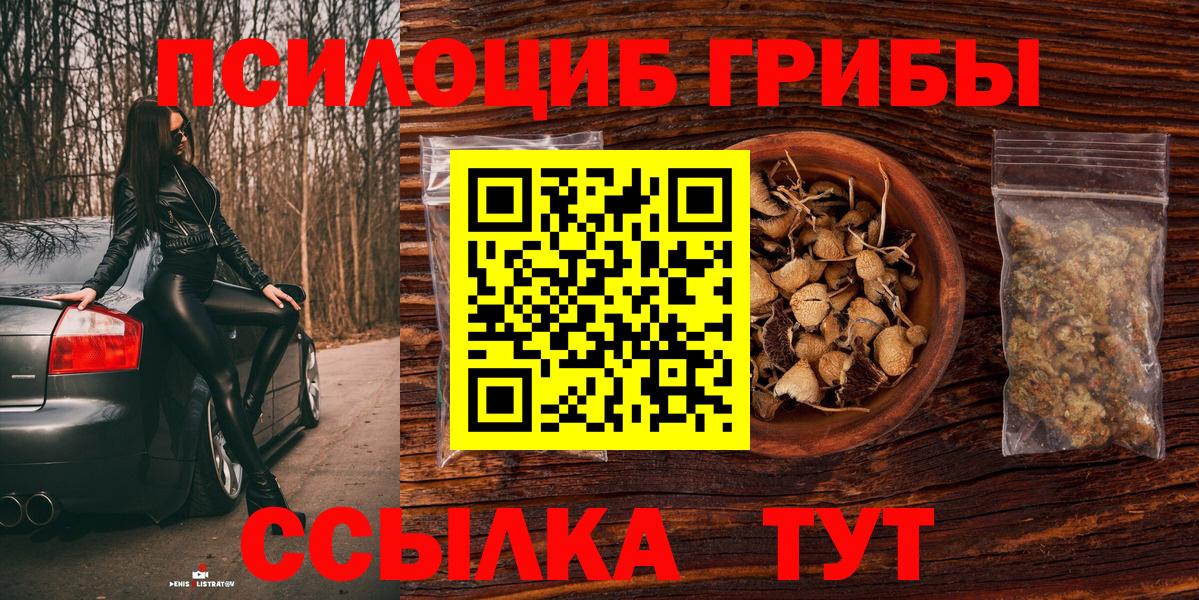 Галлюциногенные грибы прущие грибы Зеленогорск